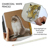 Professional White Charcoal Pencils Set - Brusarth 3 Pieces Sketch Highlight White Pencils for Drawing, Sketching, Shading, Blending, White Chalk Pencils for Beginners & Artists Brusarth