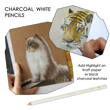 Professional White Charcoal Pencils Set - Brusarth 3 Pieces Sketch Highlight White Pencils for Drawing, Sketching, Shading, Blending, White Chalk Pencils for Beginners & Artists Brusarth