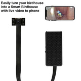 WIWACAM WiFi Bird Box Camera, 4K HD WLAN, Live Video to Phone, Easy Installation to Most of Bird Box Bird House Birdhouse Feeders Nesting, for Robins, Wrens, Tree Swallows, with Night Mode, Recording WIWACAM