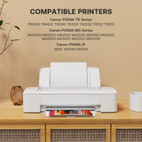 Abfray Remanufactured Ink Cartridge Replacement for Canon 245XL 246XL for PIXMA MG2420 MG2520 MG2522 MG2525 MG2920 MG2922 MG2924 MG3020 TR4520 1245 Printer (1 Black, 1 Color, 2 Pack) Abfray