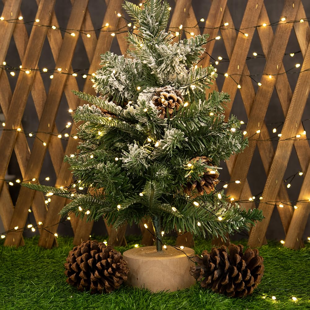 ZELUXDOT Fairy Lights Plug in,100FT 1000 LEDs Waterproof String Lights,Green Wire,Firecracker Lights with Remote 8Modes for Indoor Outdoor Christmas Wedding Birthday Patio Garden Decor,Warm White ZELUXDOT