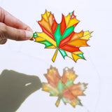 Winlyn 24 Sets Fall Leaf Suncatchers Ornaments DIY Window Paint Art Fall Craft Kits Maple Leaf Sun Catchers Painting Kits for Kids Classroom Activities Art Project Thanksgiving Autumn Party Decoration Winlyn