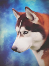 SKRYUIE 5D Diamond Painting Husky Dog Full of Love Full Drill by Number Kits, DIY Rhinestone Pasted Paint with Diamond Set Arts Craft Decorations (12x16inch) SKRYUIE