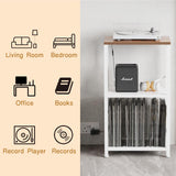 YAKANJ End Table with LED Light,Record Player Stand with Albums Storage,Vinyl Records Storage,Turntable Stand Side Table for Music Room Studio Living Room Bedroom-White YAKANJ