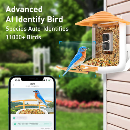 SOLIOM BF09 Bird Feeder with Camera Wireless Outdoor,Smart Bird Feeder Camera with AI Identify Bird Species,Backyard Bird Watching Gift for - WoodArtSupply