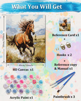 TOCARE Horse Paint by Numbers Kit for Adults,Acrylic Adult Paint by Number Canvas Running Horse,16x20inch Adults' Paint-by-Number Kits TOCARE