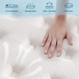 Vantto Twin Size Mattresses, 10 Inch Hybrid Memory Foam Individual Pocket Springs Twin Bed Mattress in a Box with Pressure Relief, Motion Isolation, CertiPUR-US, 100 Nights Trial Vantto