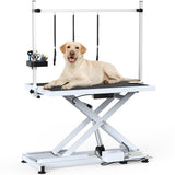 DWVO 50'' Electric Dog Grooming Table Heavy Duty Adjustable Pet Grooming Table Grooming Arm Anti-Slip Top Tool Organizer Professional Dog Grooming Station (White, 50inch) DWVO
