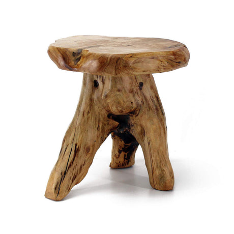 WELLAND Tree Stump Stool Live Edge, Natural Edge Side Table, Plant Stand, Nightstand, Mushroom Stool 14" Tall WELLAND