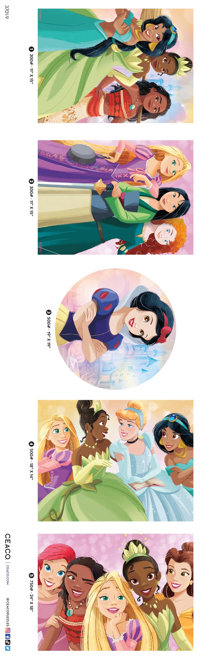 Ceaco - 5 in 1 Multipack - Disney Princess - (2) 300 Piece, (2) 500 Piece, (1) 750 Piece Jigsaw Puzzles Ceaco