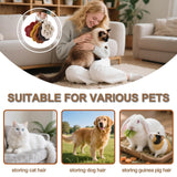 Xoprmey 6Pcs Pet Hair Storage Keychain - Dog Cat Paw Shaped Keychain,Pet Hair Keepsake Keychains,Pet Memorial Gifts for Bag Purse Paw Charm Key Holder Xoprmey