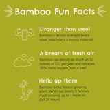 Munchkin® Bambou™ Suction Bowl and Silicone Spoon for Babies and Toddlers, Non-Toxic Bamboo Munchkin