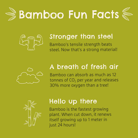 Munchkin® Bambou™ Suction Bowl and Silicone Spoon for Babies and Toddlers, Non-Toxic Bamboo Munchkin