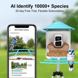 birdsnap Smart Bird Feeder with Camera+Solar Panel 64G SD Card 6-in-1 Perch, 160°View Auto Capture Bird Videos 1080P, AI Identify 10000+ Species Bird birdsnap