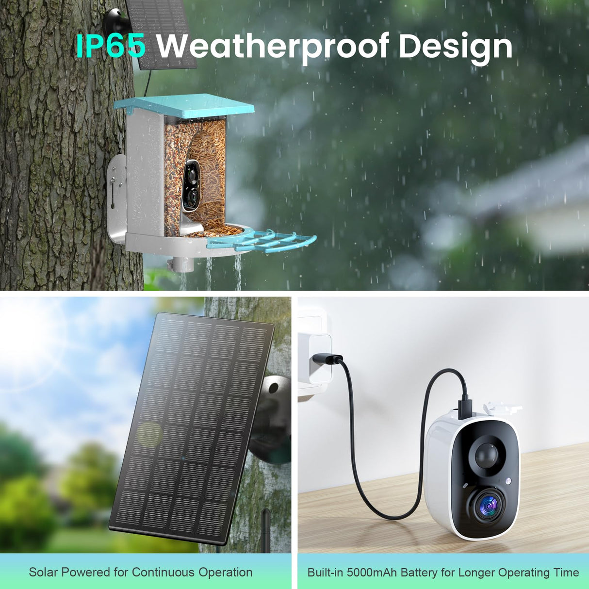 isYoung Birdlook® Smart Bird Feeder with Camera,2K HD Dual Granary Bird Feeder Camera, AI Auto-Capture & Motion Detection, 5W Solar, 170° View, AI Identify 16000+ Birds,Ideal Gift for Bird Lovers. isYoung