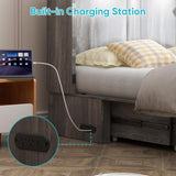 CECER Full Size Murphy Bed with Tri-Folding Mattress，Murphy Bed with Charging Station and 2 Large Storage Drawers for Small Spaces/Bedroom（Grey） CECER