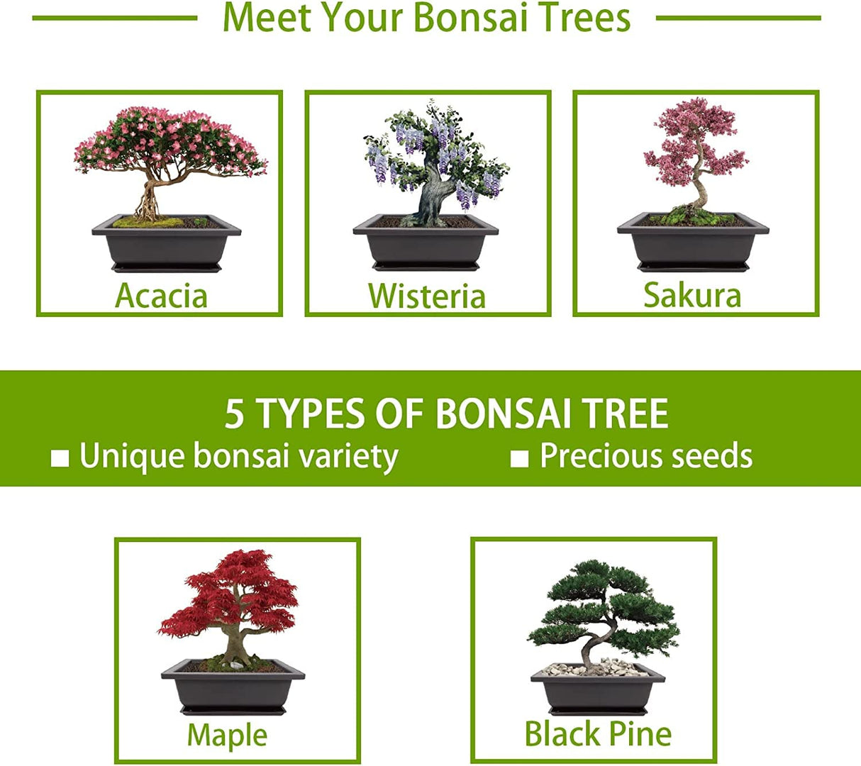 Meekear Indoor Starter Kit with Complete Planting Tools, Gardening DIY Gift for Plant Lovers Meekear