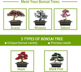 Meekear Indoor Starter Kit with Complete Planting Tools, Gardening DIY Gift for Plant Lovers Meekear