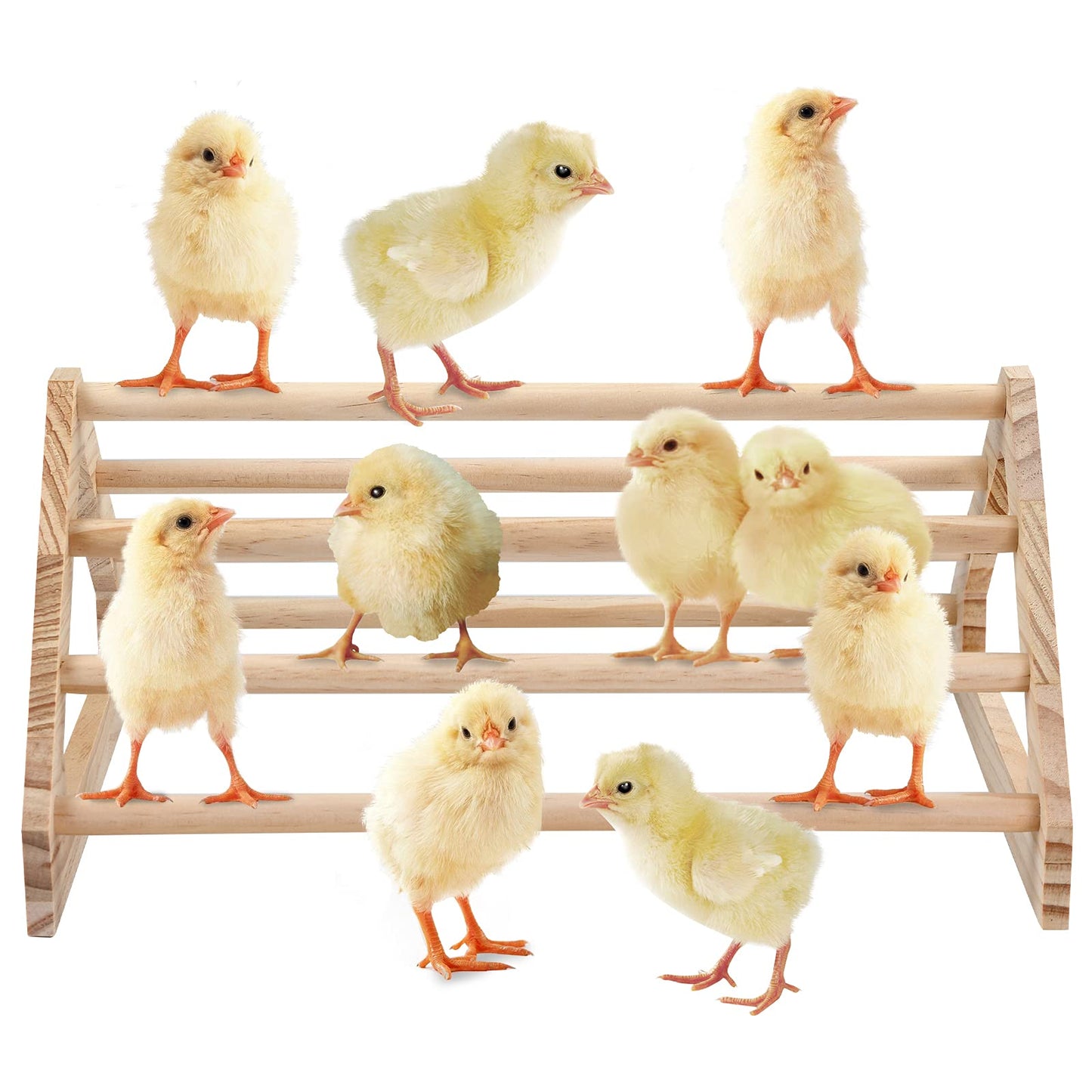 GINTUTO Chicken Perch Strong Pine Wooden Chick Jungle Gym Roosting Bar, Chick Perch Toys for Coop and Brooder for Large Bird Baby Chicks Parrot Hens (Large) - WoodArtSupply