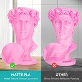 SUNLU PLA Matte 3D Printer Filament 1.75mm, PLA Filament 1kg Spool (2.2lbs), Dimensional Accuracy +/- 0.02mm, Matte White PLA SUNLU