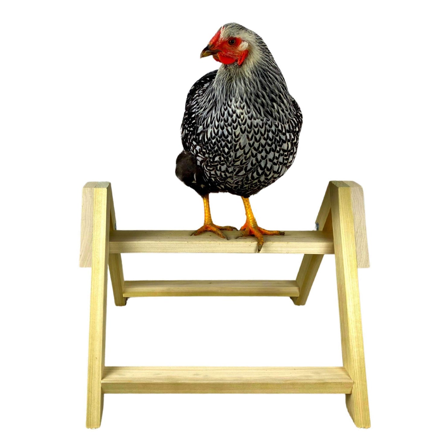 Chicken Roosting Perch Bird Stand Made in The USA! Roost Toys and Accessories for Coop Heavy Duty Solid Handcrafted Wood Construction for Birds Hens Chook Pollos Gallinas Chicks