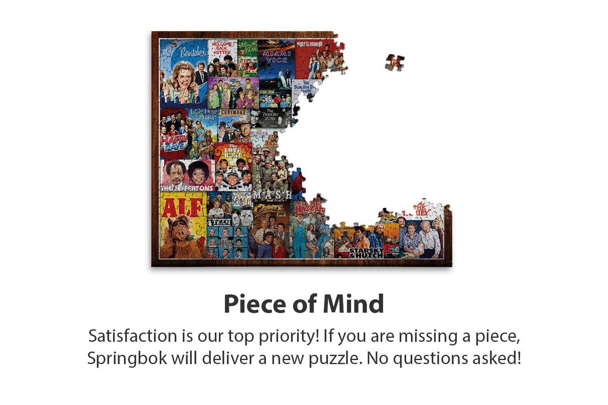 Springbok 1000 Piece Jigsaw Puzzle What's on TV? - Made in USA Springbok