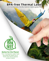 Phomemo Thermal Printer Paper 8.5 x 11 Inch, Advanced Thermal Printing, Thermal Paper Compatible with M08F-Letter, M832, M834, MT800, with Brother Letter Portable Printer, Size 8.5" x 11", 100 Sheets Phomemo