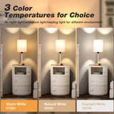 Small Bedside Lamp for Bedroom Nightstand - Table Lamp with USB C and A Port, Pull Chain Bed Lamp with AC Outlet, Nightstand Lamp with Wood Base for Kids Reading, Desk Lamp for Living Room/Dorm Room Dicoool