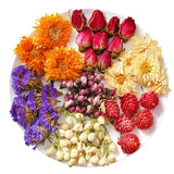 TooGet Fragrant Dried Flowers and Herbs Accessories Decorations 9 Bags Set Dry Flowers for Soap Bath Bombs Making and Dried Flower Crafts TooGet