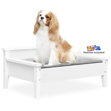 TailZzz Wooden Dog Bed with Water-Resistant Mattress, Small to Medium Elevated Pet Bed with Calming Pet Mattress, Greenguard Gold Certified, Modern Dog Couch, Winston, White TailZzz