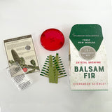 Copernicus Toys Crystal Growing Balsam Fir Official Terraformer kit | Grows in Hours | Facts and Instructions Included | Evergreen Science! Copernicus Toys