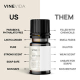 VINEVIDA [Set of 8] Winter Scents for Candle Making, Made in USA Candle Fragrance Oil, Soap Making Essential Oils, Diffuser Oil Scents VINEVIDA