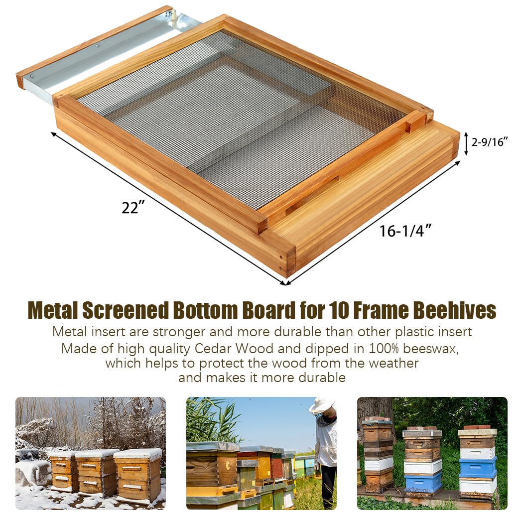 Honey Lake Langstroth Bee Hive Screened Bottom Board Dipped in 100% Beeswax with Entrance Reducer, Screen Bottom Board for 10 Frame Beehive with Solid Wood, Beehive Separated Board Beekeeping Supplies Honey Lake