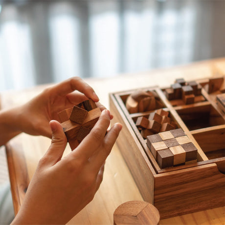 BSIRI 9 Puzzles in a Box - Wooden Brain Teaser Puzzles, 3D Puzzles for Adults, Educational Kids Games, Mind Puzzles for Adults and Brain Games for Kids, Ideal for Birthday Gifts and Patio Decor BSIRI