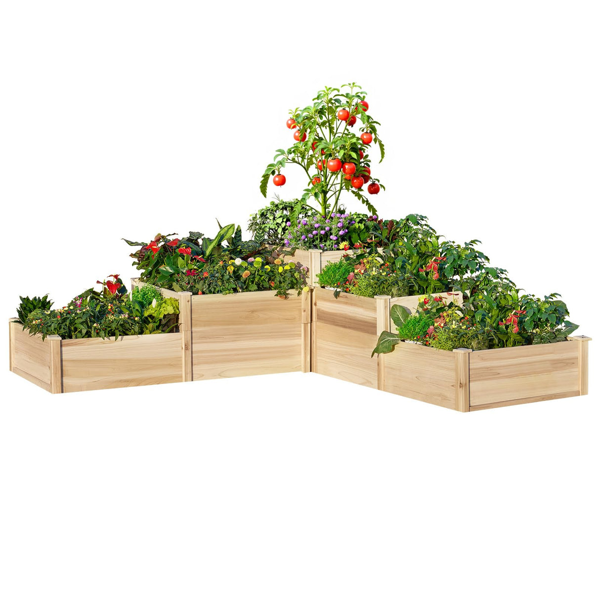 AMERLIFE 3-Tier Raised Garden Bed for Outdoor Gardening, Fir Wood Planter Box with Dividers, Tool-Free Assembly, Garden Box Perfect for Vegetables, Herbs, and Flowers AMERLIFE
