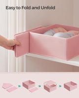 SONGMICS Drawer Organizer, Dresser Drawer Organizers, Set of 12, Foldable Fabric Storage Bins for Socks, Underwear, Bras, Ties, Scarves, Jelly Pink URDZ006R01 SONGMICS