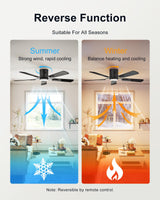 CubiCubi Ceiling Fan, 52" Low Profile Ceiling Fans with Lights and Remote/APP Control, Flush Mount, 5CCT, Stepless Dimmable, Super Quiet, 6 Speeds, Modern Ceiling Fans for Bedroom Living Room, Black CubiCubi
