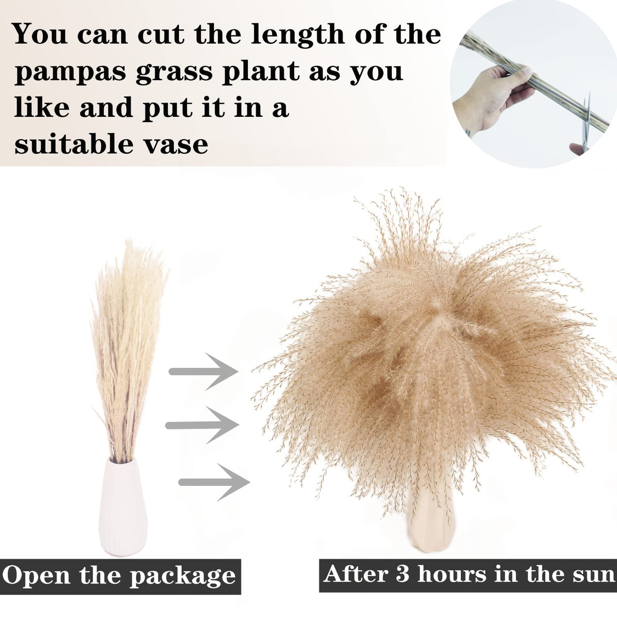 Dried Pampas Grass Decor, 100 Stems Pampas Grass Contains Bunny Tails Dried Flowers, Reed Grass Bouquet for Wedding Boho Flowers Home Table Decor, Rustic Farmhouse Party (17", White and Brown) ANPROOR