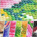 The Girl With Sunglasses Diamond Painting Kits for Adults DIY Vacation Style 5D Full Drill Round Crystal Rhinestone Embroidery Arts Craft Easy Paint on Canvas for Home Wall Decor Gift 12x16 inch Tucocoo