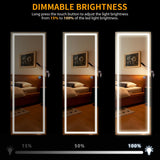 LVSOMT LED Wall/Door Mounted Jewelry Cabinet Armoire, Full Length Mirror with Lights, Lockable Storage Organizer, Over the Door Hanging Body Mirror (Wood) LVSOMT
