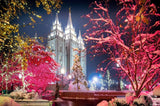 Diamond Painting Kits for Adults Kids Salt Lake Temple Scenery DIY 5D Diamond Painting Arts Craft for Home Wall Decor Birthday Gifts 12x16 in YEEIFFD