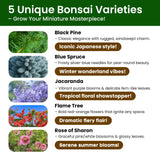 Bonsai Tree Kit – 5Pack Complete Indoor Starter Kit with 5 Unique Japanese Bonsai Trees, Tools & Planters – Perfect Gardening Gift for Women, Men, Plant Lovers – Great for Easter, Father’s Day PLANTMEW