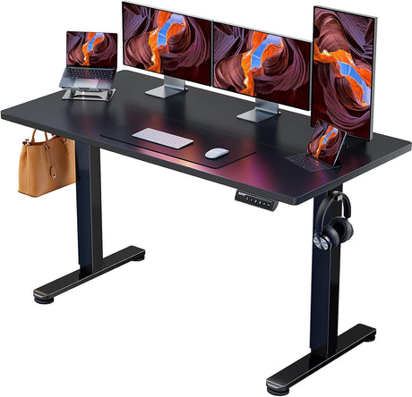 BW BEST WAY Height Adjustable Electric Standing Desk, Sit Stand up Desk, Memory Computer Home Office Desk with Two-Piece Desktop (Black, 48 * 24 Inch) BW BEST WAY
