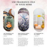 PHATOIL 3.38FL.OZ Coconut & Vanilla Fragrance Oils for Aromatherapy, Essential Oils for Diffusers for Home, Perfect for Diffuser, Yoga, DIY Candle and Soap Making - 100ml PHATOIL