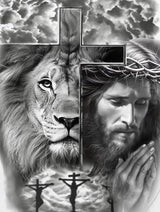 Generic Jesus Lion 5D Diamond Art, DIY Painting Kit, 15.7x11.7in/30x40cm, Clear Generic