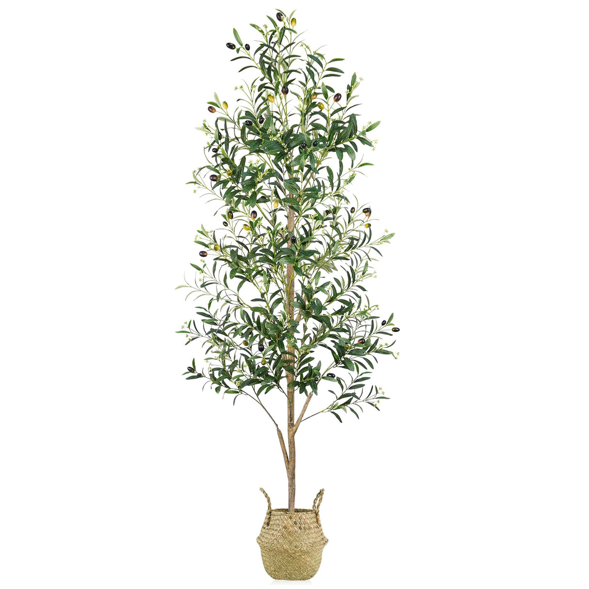 Caxchiling Faux Olive Tree 6FT, Artificial Potted Tree with Planter, Silk Plants Indoor Outdoor, Lifelike Olive Plants with Natural Wood Trunk, Fruits and Buds, Home Office Decor, 1 Pack Caxchiling