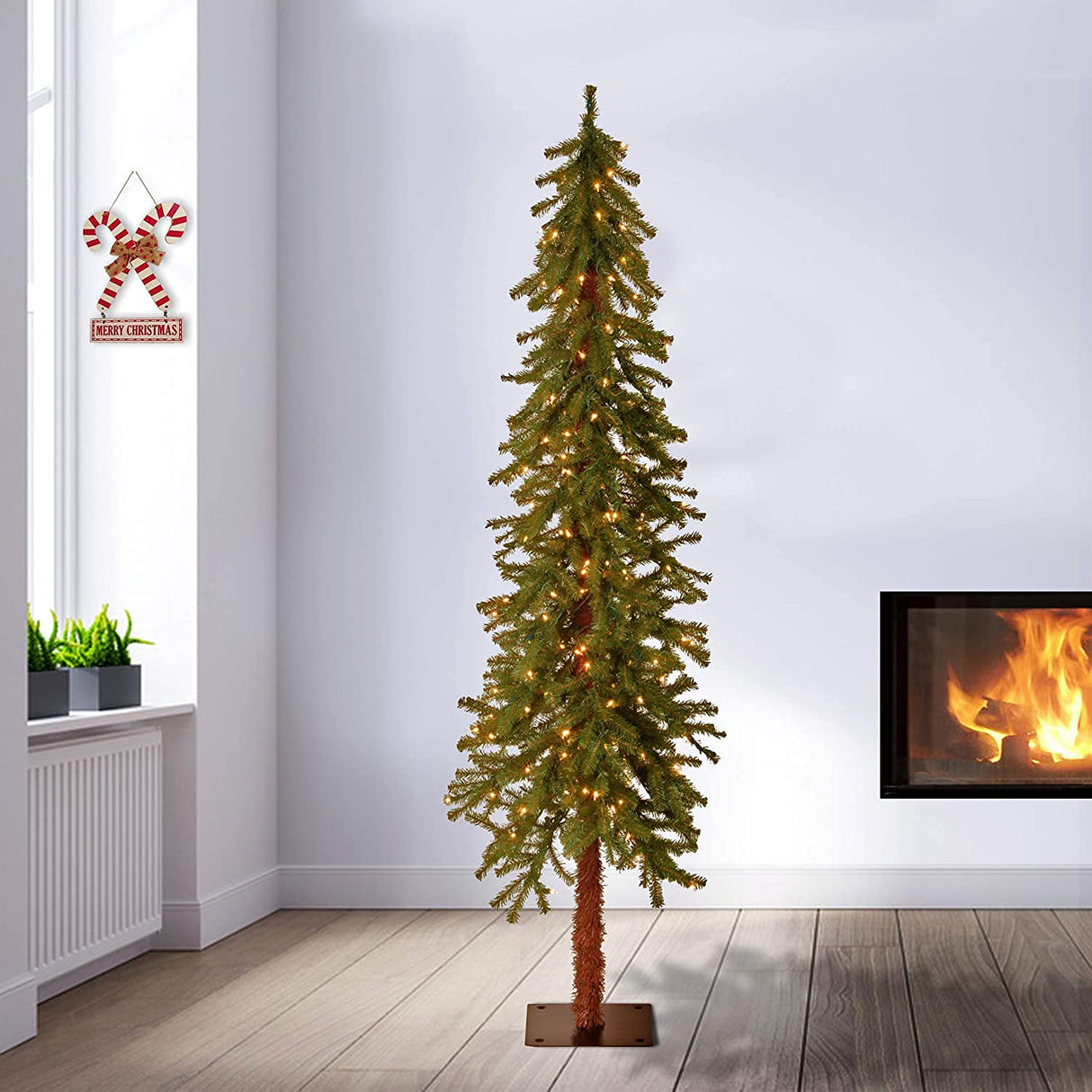 National Tree CED7-60LO-S Tree, 6 ft, Green National Tree Company