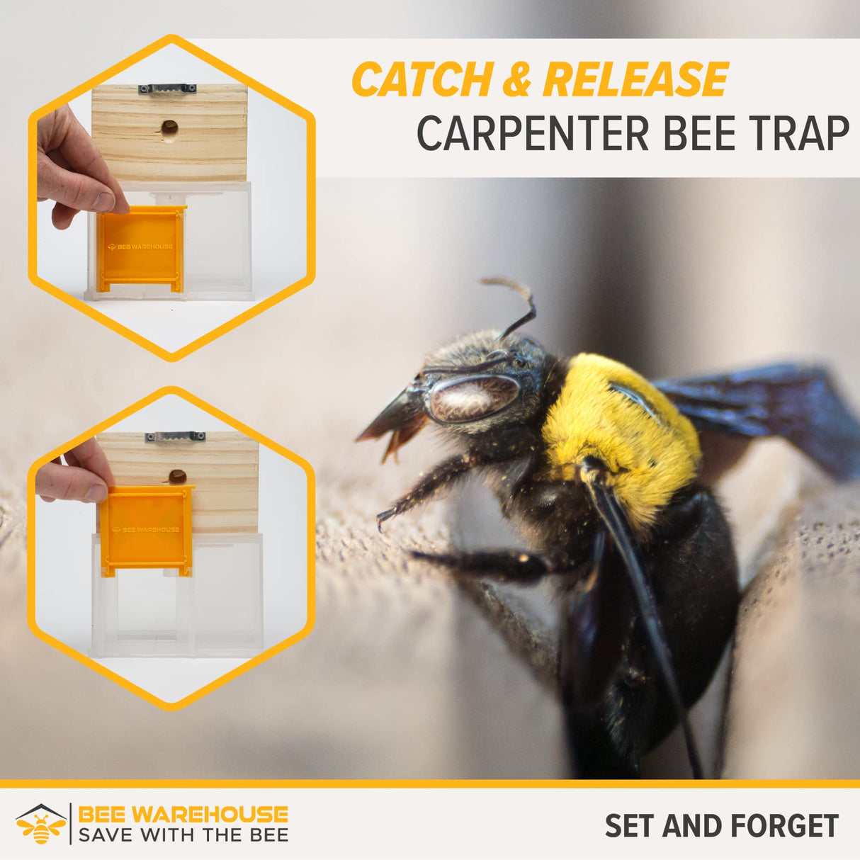 Bee Warehouse - Carpenter Bee Trap - Wood Boring Bee Trap - Unique Catch & Release Outdoor Carpenter Bee Trap - Includes Hanging Hardware & 5 Bee Dams Bee Warehouse