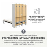 REALROOMS Radiance Queen Size Wood Murphy Bed with Gallery Shelf and LED Lighting, Space-Saving Fold-Out Wall Bed for Bedroom or Guest Room, White REALROOMS