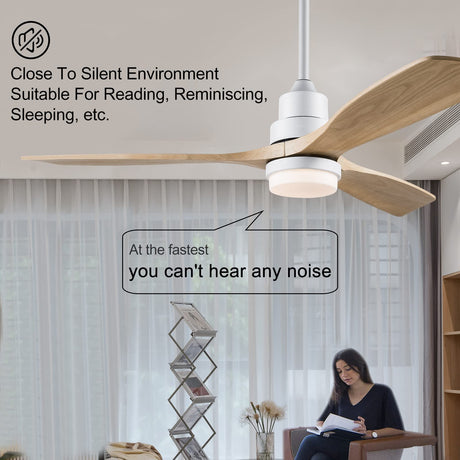 BOJUE 52 Inch Ceiling Fans with Light Remote Control,Indoor Outdoor Ceiling Fan for Patio Living Room,Bedroom,Office,Summer House,Etc BOJUE
